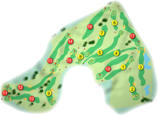 Nenagh Golf Course Layout