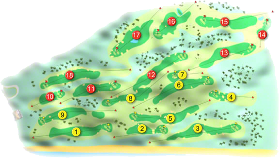 Royal County Down Golf Course Layout