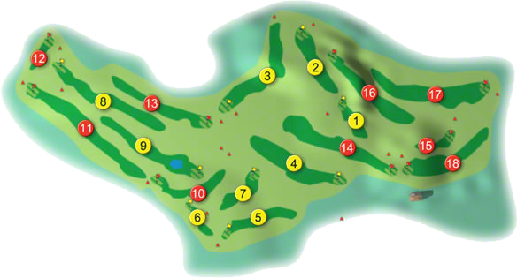 Wexford Golf Course Layout