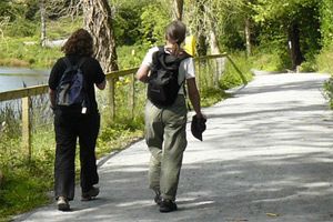 Castlecomer Discovery Park